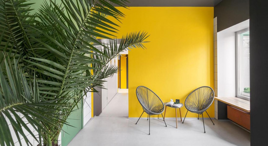 Professional painting services by Doctor Brush Painters